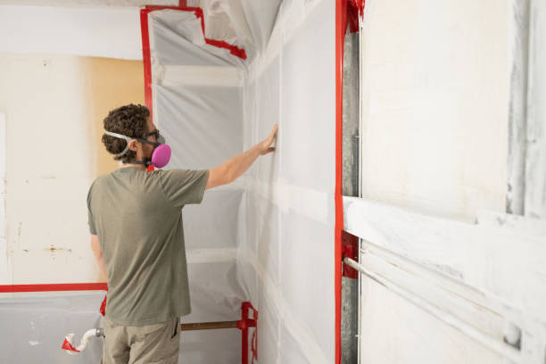 Best Airborne Mold Testing  in Napili Honokowai, HI